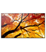 NEC Sharp MultiSync/M502/50"/VA/4K UHD/60Hz/8ms/Černá/3R