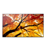 55" LED NEC M552,3840x2160,IPS,24/7,500cd