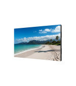 55" LED SHARP UN553S,1920x1080,IPS,24/7,700cd