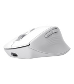 TRUSt NIVEN COMFORT MULTI-WRLS MOUSE WHT