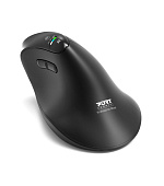 PORT CONNECT ERGO AUDITOR/Vertikální/Optická/Pro praváky/4 800 DPI/USB+BT/Černá