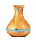 iGET HOME Aroma Diffuser AD500