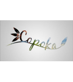 Copoka (PC) klíč Steam