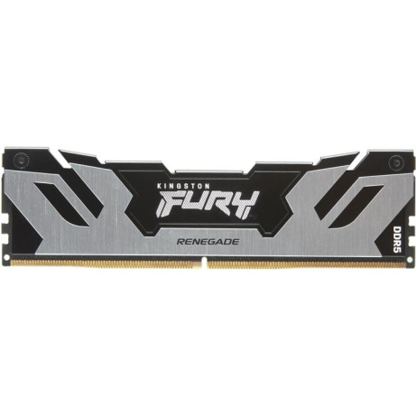 Kingston FURY Renegade/DDR5/32GB/7600MHz/CL38/2x16GB/Black/Silv