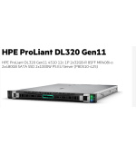 HPE PL DL320g11 4510 (2.4/12C) 2x32G (p64706) 2x480G (P40497) MR408i-o 8SFF 2x1000W 2x1Gb Smart Choice