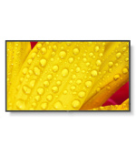 SHARP/NEC LFD 55" MultiSync M551-2, IPS, 3840x2160, 500nit, 8000:1, 8ms, 24/7, DP, HDMI, LAN, USB, Mediaplayer