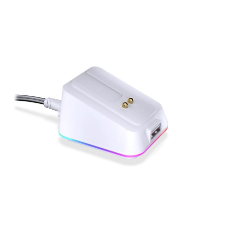 Endorfy dokovací stanice pro LIV a LIV Plus, USB, RGB, bílá