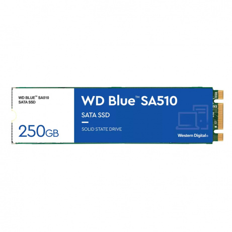 WD Blue SA510/250GB/SSD/M.2 SATA/5R