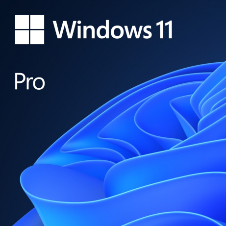 MS Win 11 Pro 64-bit Hungarian 1pk OEM DVD