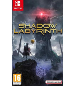 NS hra Shadow Labyrinth