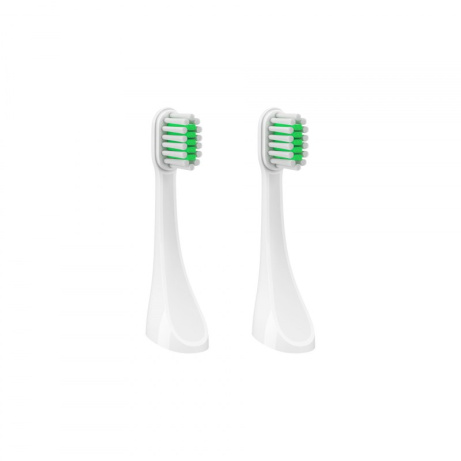 TrueLife SonicBrush Travel T100 Heads Standard