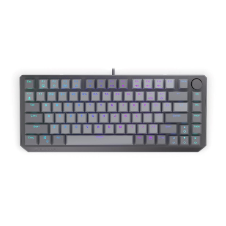 ENDORFY Herní klávesnice Thock V2 75%, Mechanická, USB, US, ARGB