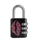 Master Lock Kombinační visací zámek  1509EURDKISS - 30mm