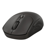 HP 405 Quiet Black Wireless Mouse EURO