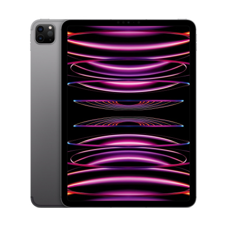 Apple iPad Pro 11"/WiFi + Cell/11"/2388x1668/8GB/128GB/iPadOS16/Space Gray