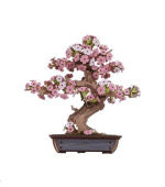 RoboTime 3D dřevěná skládačka Bonsaj sakura