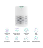 TrueLife AIR Purifier P3 WiFi