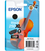 Epson Singlepack Black 250XL ink