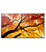 SHARP M502, LCD 50" Message Large Format Display, 24/7, 3840 x 2160, 500 [cd/m2]