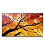 SHARP M502, LCD 50" Message Large Format Display, 24/7, 3840 x 2160, 500 [cd/m2]