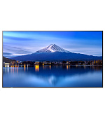 Sharp MultiSync® P436, LCD 43" Profesionální public displej, 3840 x 2160, 24/7, 700 [cd/m2]