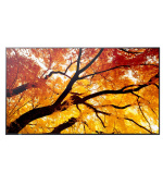 Sharp MultiSync® M432, LCD 43" Message Large Format Display, 24/7, 550 [cd/m2], 3840 x 2160, 8ms, 60Hz, 16:9