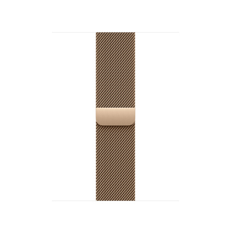 Watch Acc/42/Gold Milanese Loop