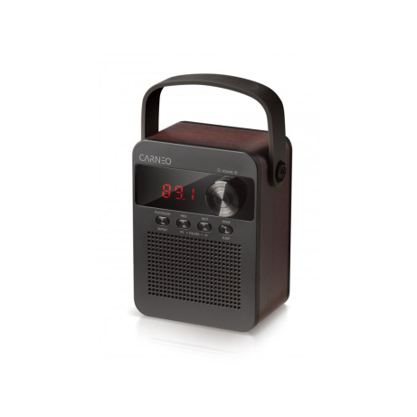 CARNEO F90 FM rádio, BT reproduktor, black/wood