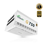EVOLVEO G750, 750W/ ATX 3.1/ 80+ GOLD/ Modular