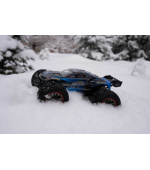 RC auto Vortex Truggy 1/12, 46 km/h+ voděodolné