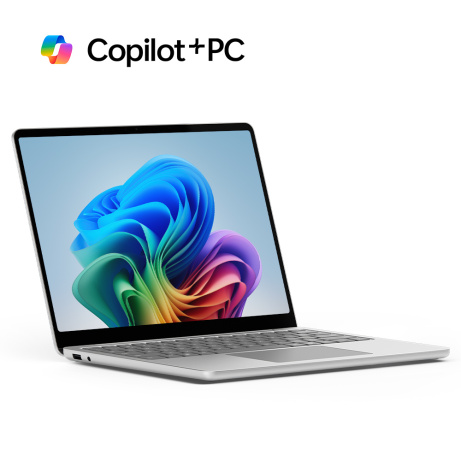 Microsoft Surface Laptop 13"/SD-X Plus/13"/1920x1280/T/24GB/1TB/Adreno/W11P/Platinum/2R