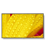 SHARP/NEC M501-2, LCD 50" Message Large Format Display, 24/7, 3840 x 2160, 500 [cd/m2]