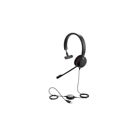 Jabra Evolve 20/Mono/USB/Drát/Černá