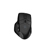 Bezdrátová myš Natec JAGUAR PRO/Kancelářská/Blue Sense/Pro praváky/4 000 DPI/USB+BT/Černá