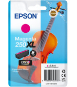 Epson Singlepack Magenta 250XL ink