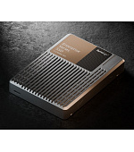 Synology U.3 NVMe SPU7200D-7680G