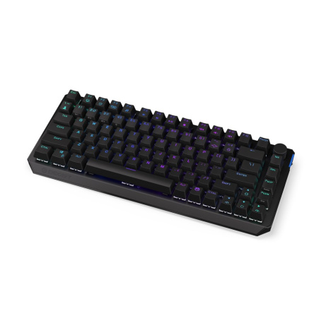 Endorfy herní klávesnice Thock 75% W. Black / bezdrátová / black switch / mechanická / CZ layout / černá RGB