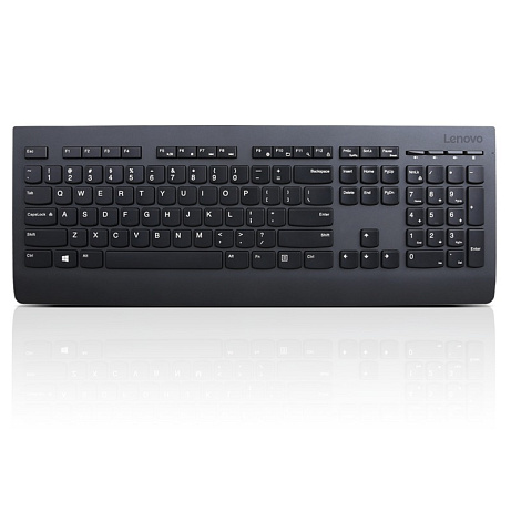 Lenovo Professional Wireless Keyboard/Bezdrátové USB/CZ/SK/Černá