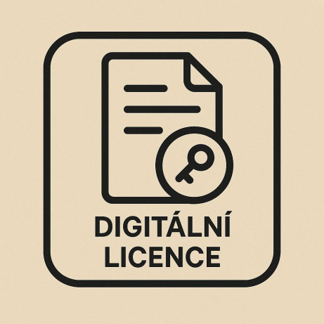 PAC-MAN 256 (PC) klíč Steam