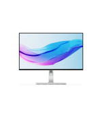 Lenovo/L24m-4A/23,8"/IPS/FHD/100Hz/1ms/Gray/3R
