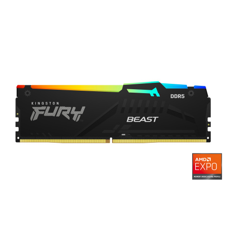 Kingston FURY Beast EXPO/DDR5/16GB/5600MHz/CL36/1x16GB/RGB/Black