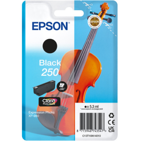 Epson Singlepack Black 250 ink