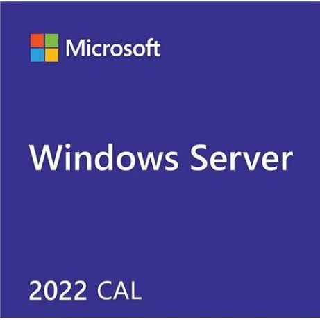 Windows Server 2022 CAL (10 User)