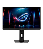 24" LCD ASUS XG248QSG