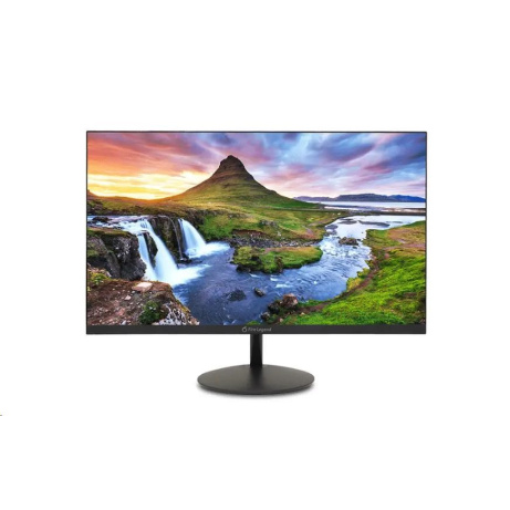 ACER LCD 22SA2QEbi - 55cm (21.5")IPS LED,FHD,100Hz,250cd/m2,178/178,1ms,VGA,HDMI,VESA,Black