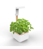 Véritable Botaneo - Automatický květináč + 2 bylinkové náplně