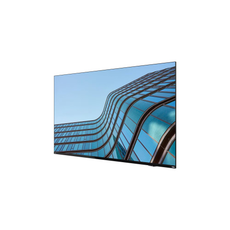 Lenovo ThinkViosion E55 54,6"/16:9/3840x2160/8ms