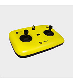 Chasing Dory Remote Controller