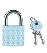 Master Lock Visací zámek z pevného hliníku 3430EURDWAVE - 30mm
