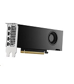 DELL NVIDIA RTX 2000 Ada Generation 16 GB GDDR6 half height PCIe 4.0 x 8 4 mDP Graphics Card